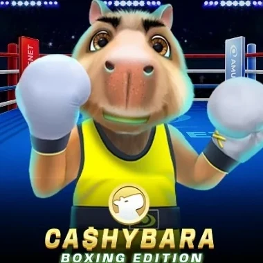 Cashybara Boxing Edition